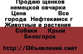 Продаю щенков немецкой овчарки › Цена ­ 5000-6000 - Все города, Нефтекамск г. Животные и растения » Собаки   . Крым,Белогорск